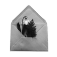 An open envelope with a flower inside. Used as the CV icon.